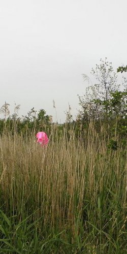 2014 Zachrany raket Jana Míckova